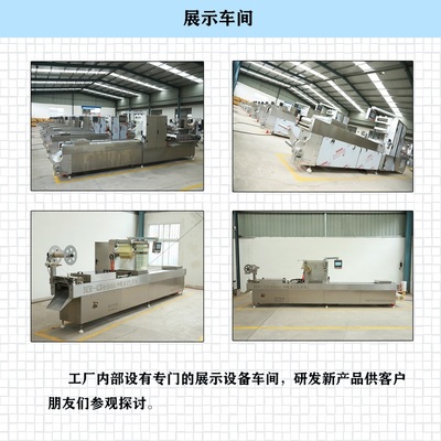 DZ-520光電器件 技術(shù)特性、應(yīng)用領(lǐng)域與市場前景分析
